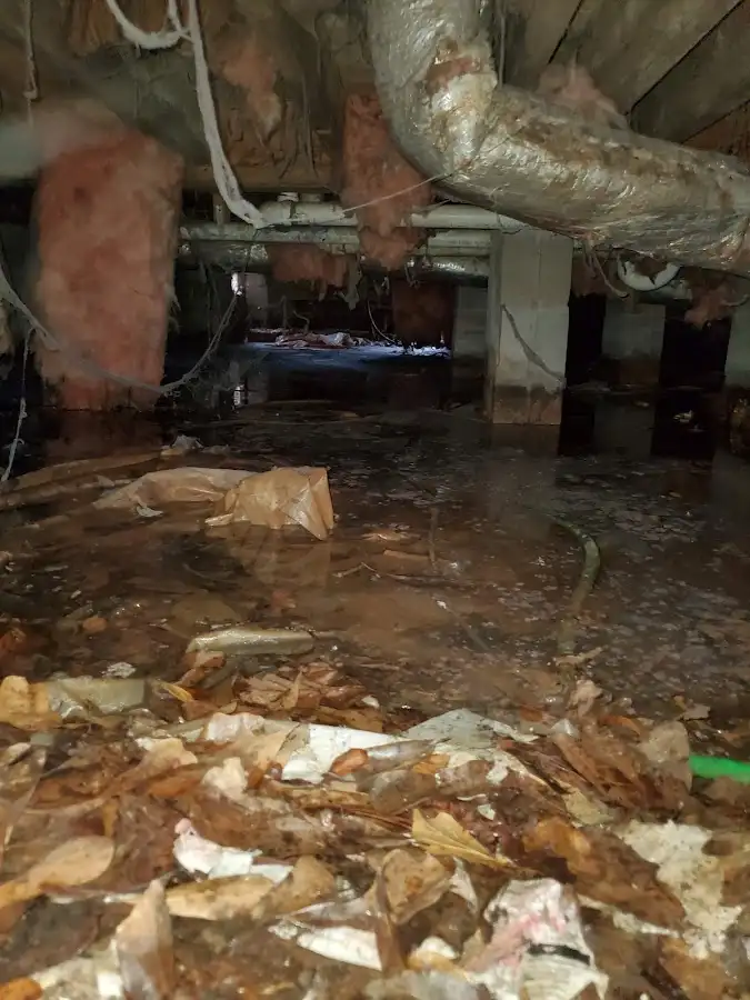 Crawl space flood assessment for Leak Detection & Repair in Thousand Oaks